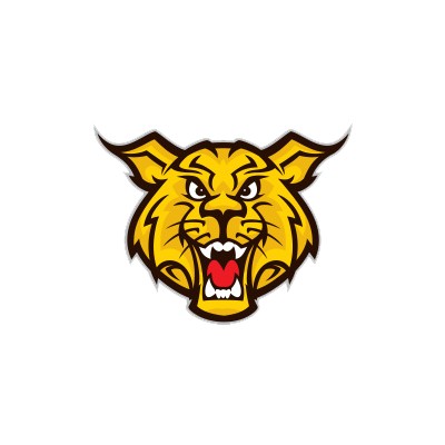 Edinburg CUSD 4